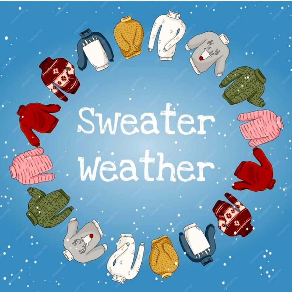 Sweats, sweatshirt, and ALL the COZY